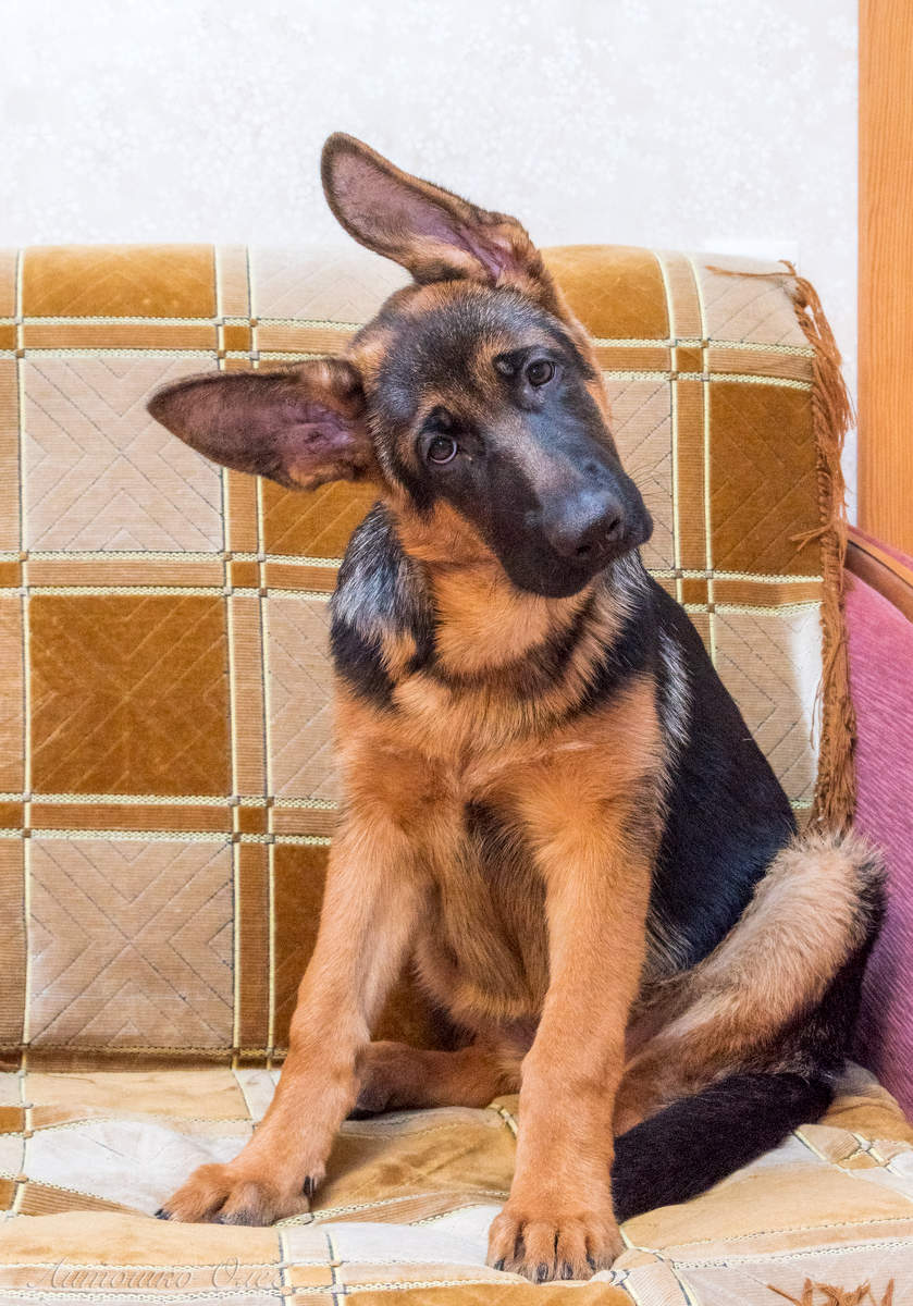 Я вся такая...