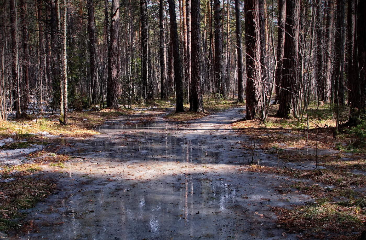 **Солнечным днём.*