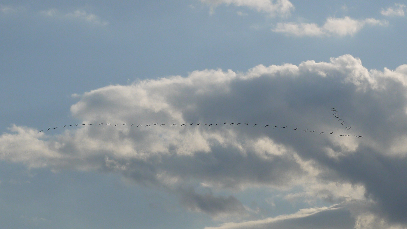 Счастливого пути!