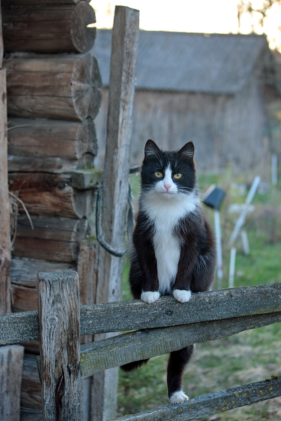 ну и чем я не модЕль?))