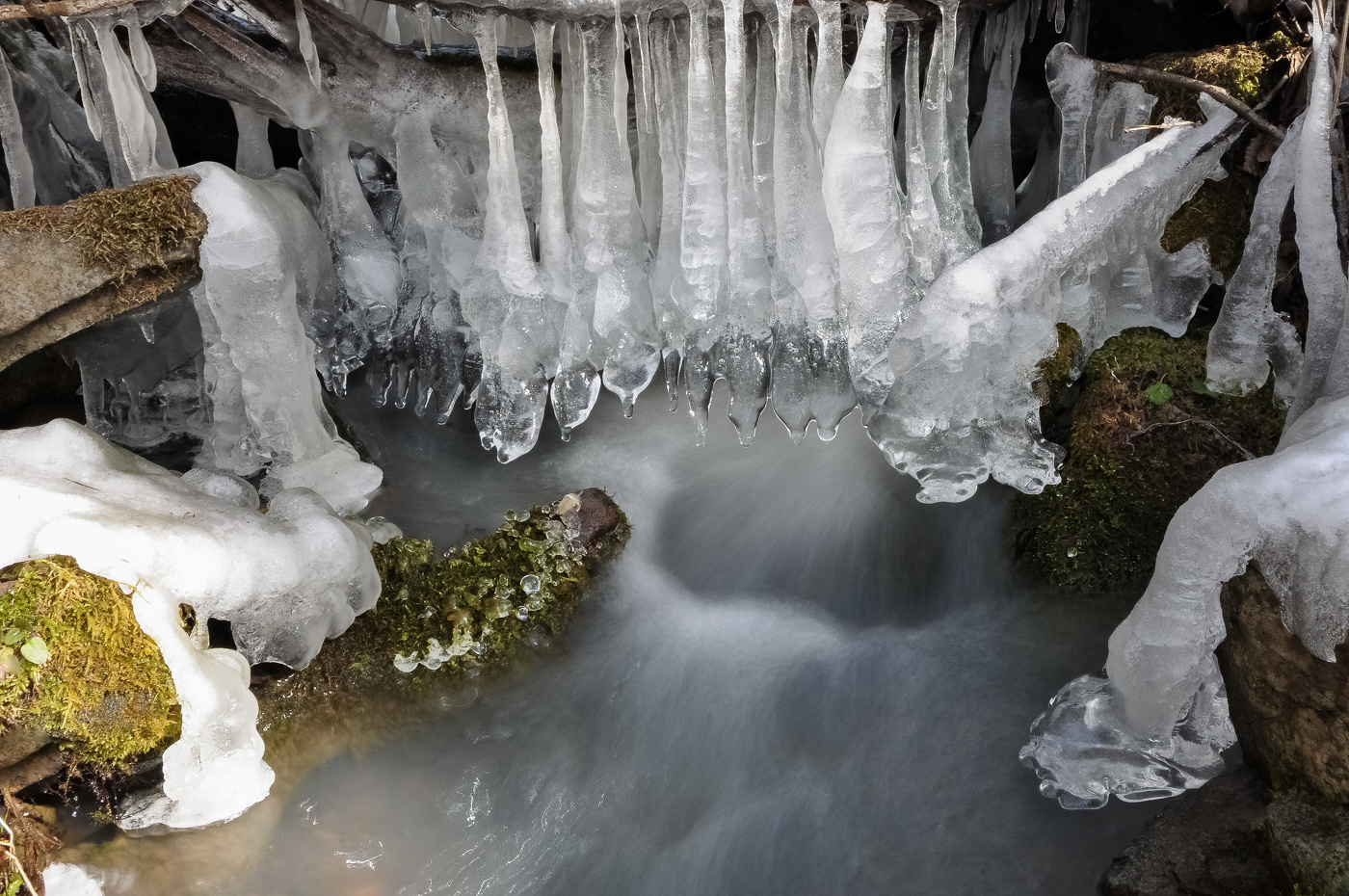 Ледяной ручей