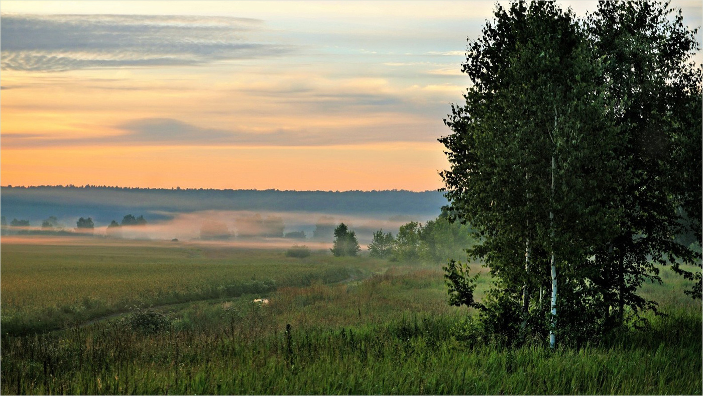 Приправлено легким туманом...