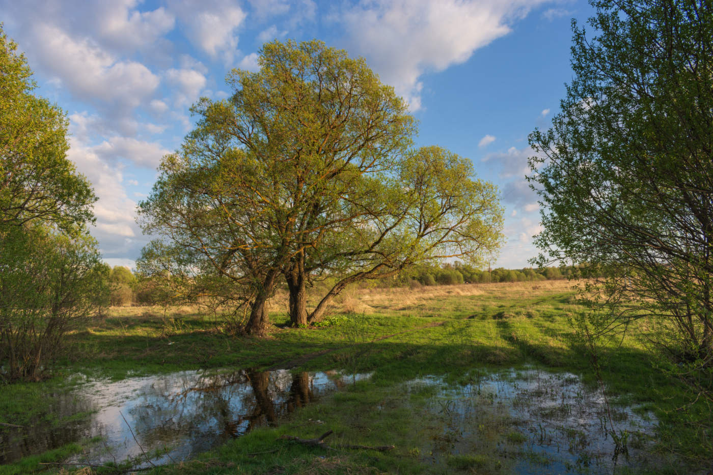 Шаги весны.