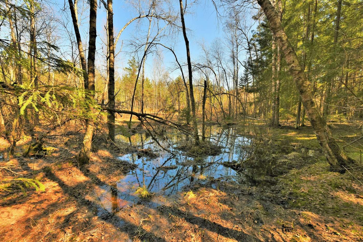 "Все-таки у нас апрель ..."