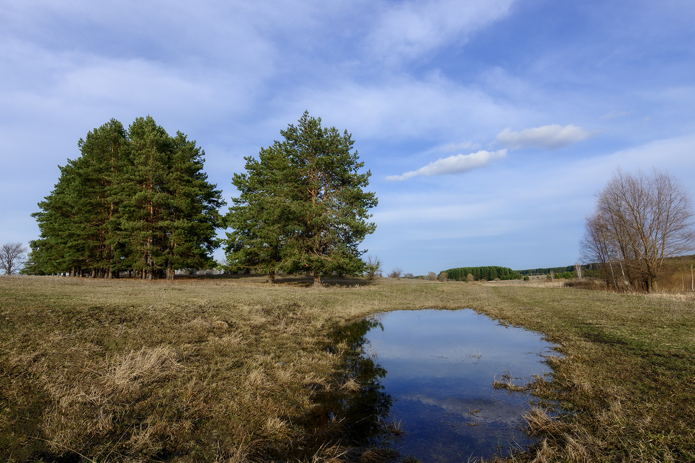 Апрельская лужа...