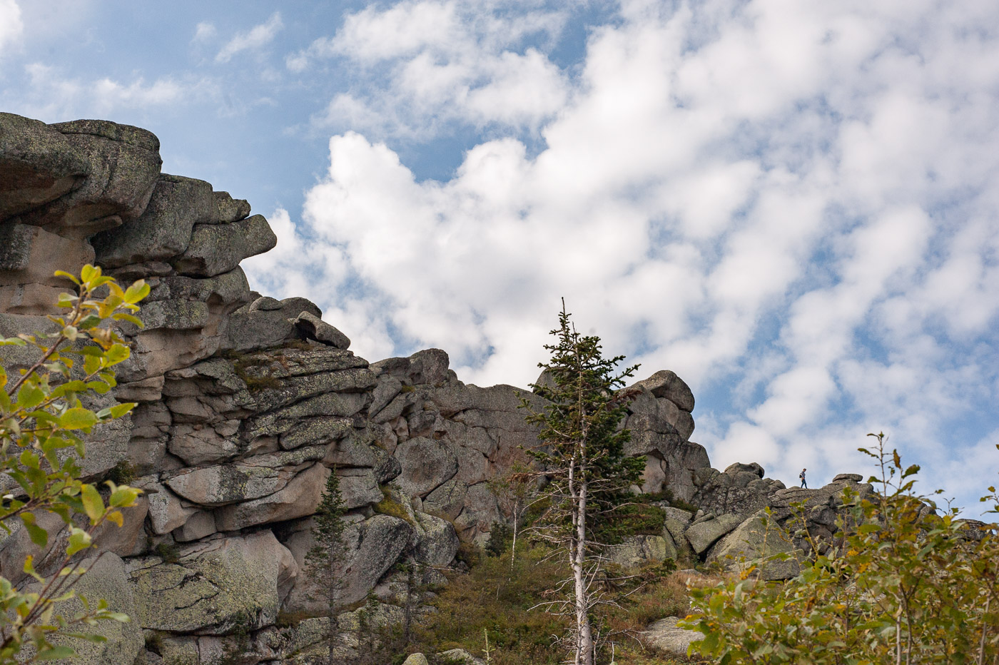 Под небом голубым
