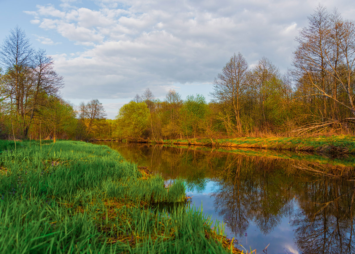 Витает в воздухе весна...