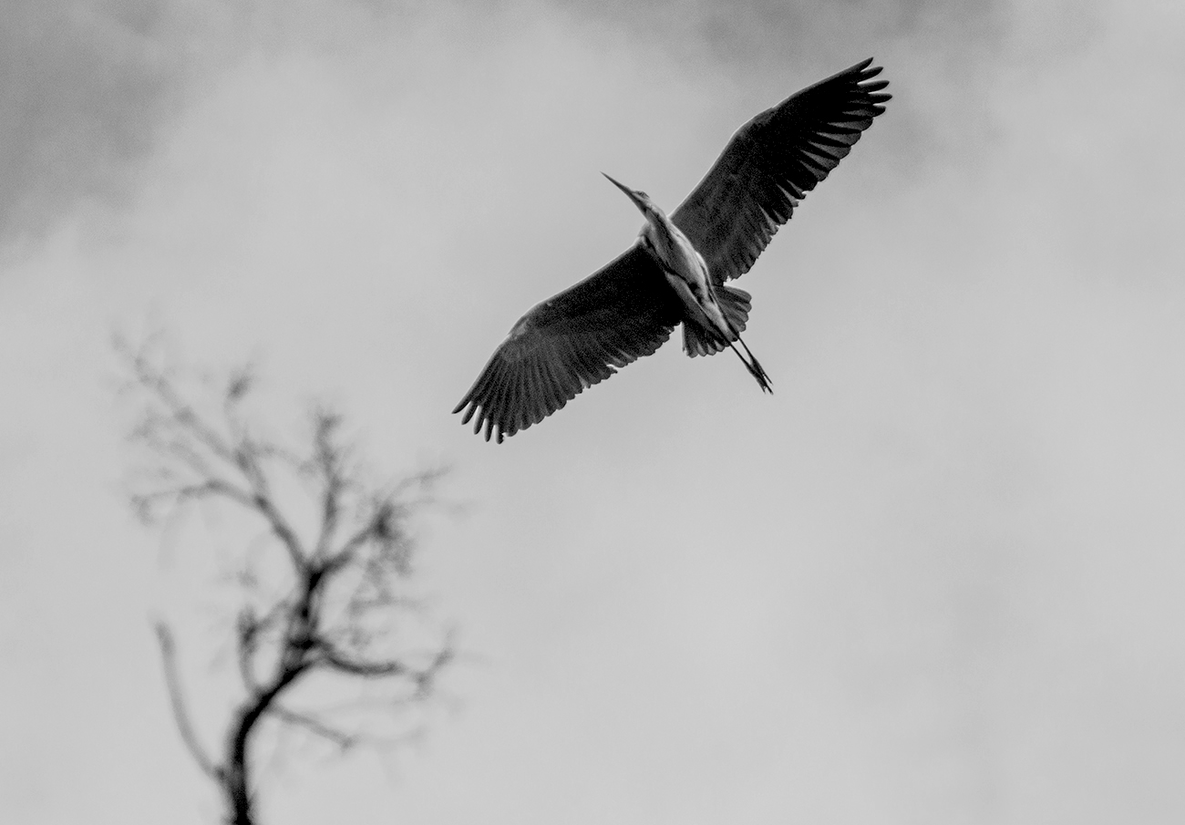 Мимолётность. Апрель 2023