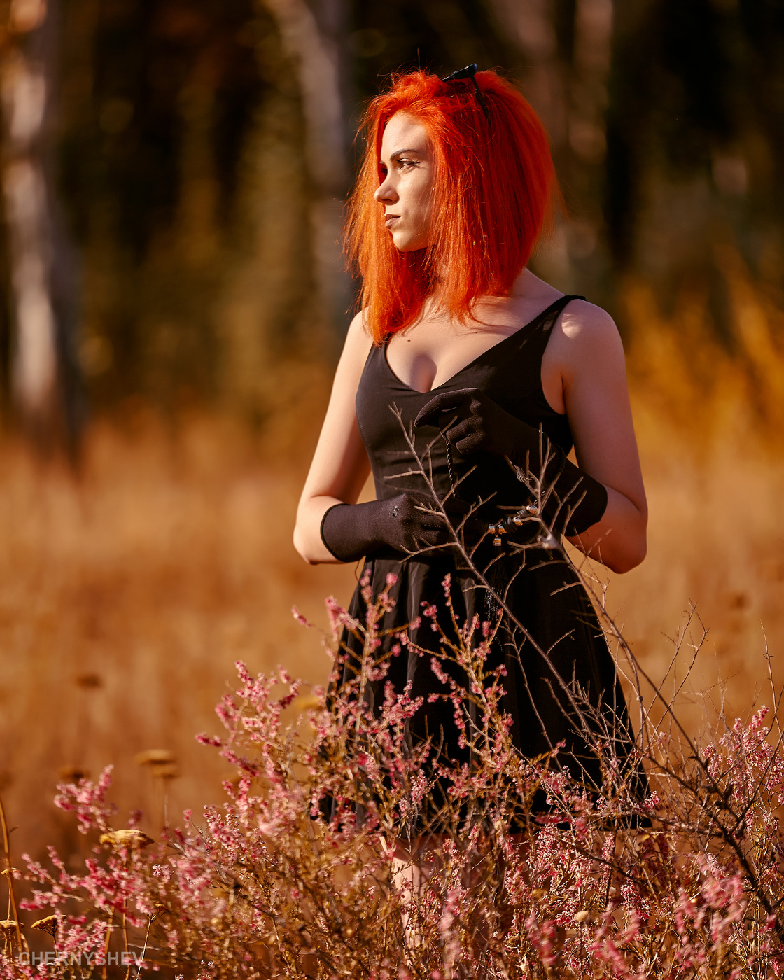 из альбома "упавшее Солнце".