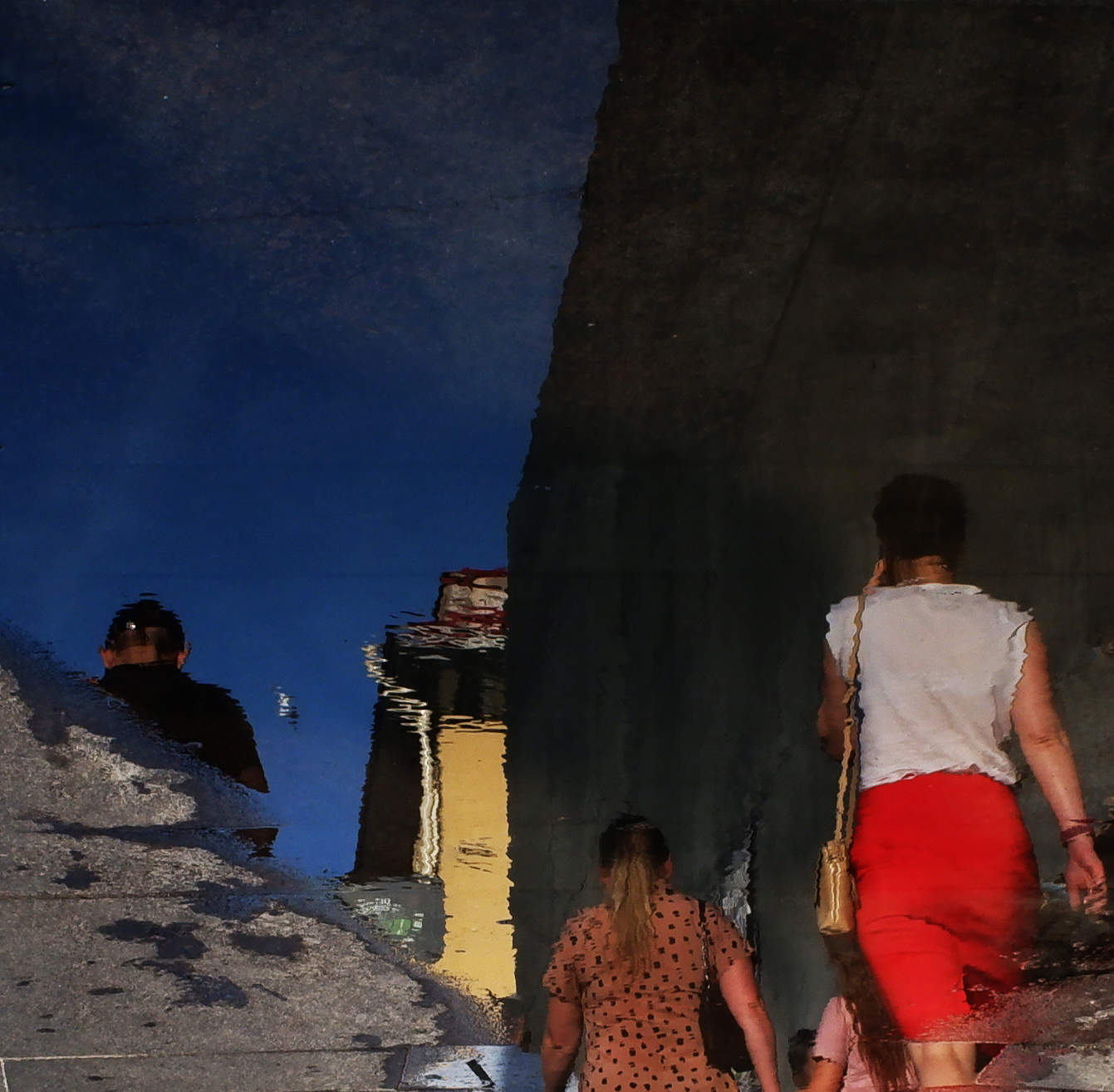 Невский в цвете