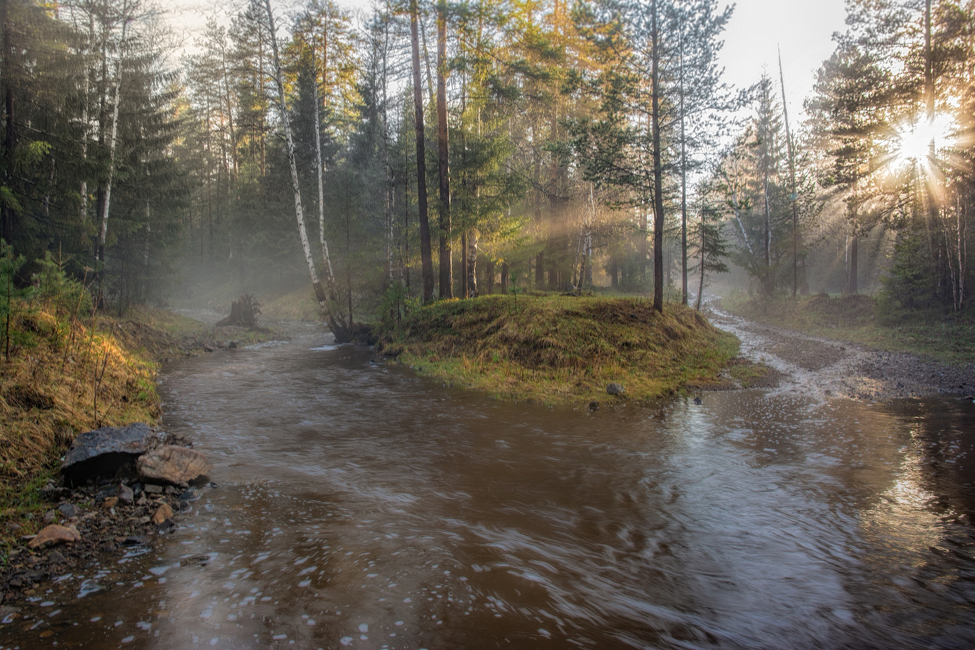 Вечер после дождя