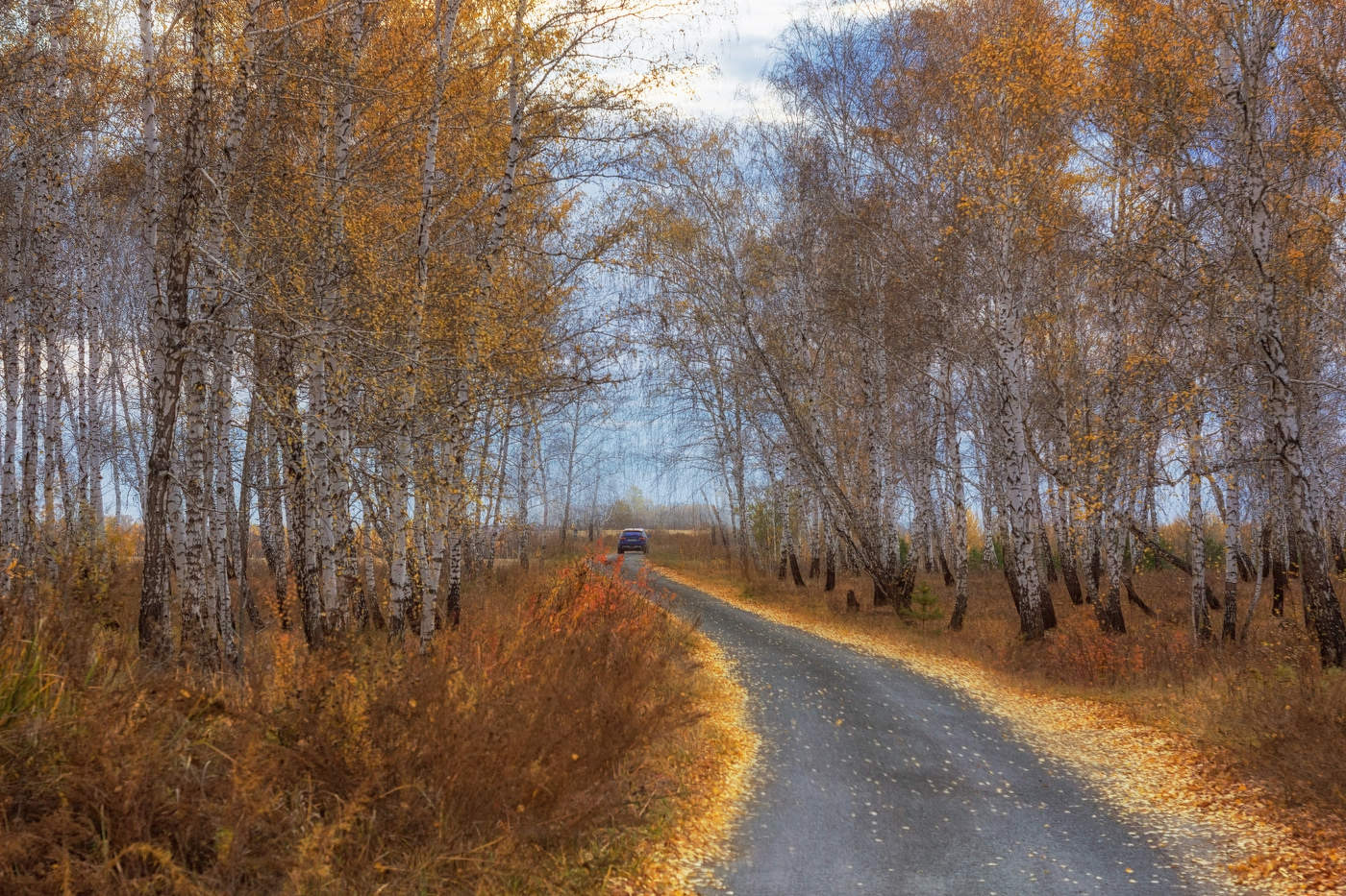 Автопортрет.