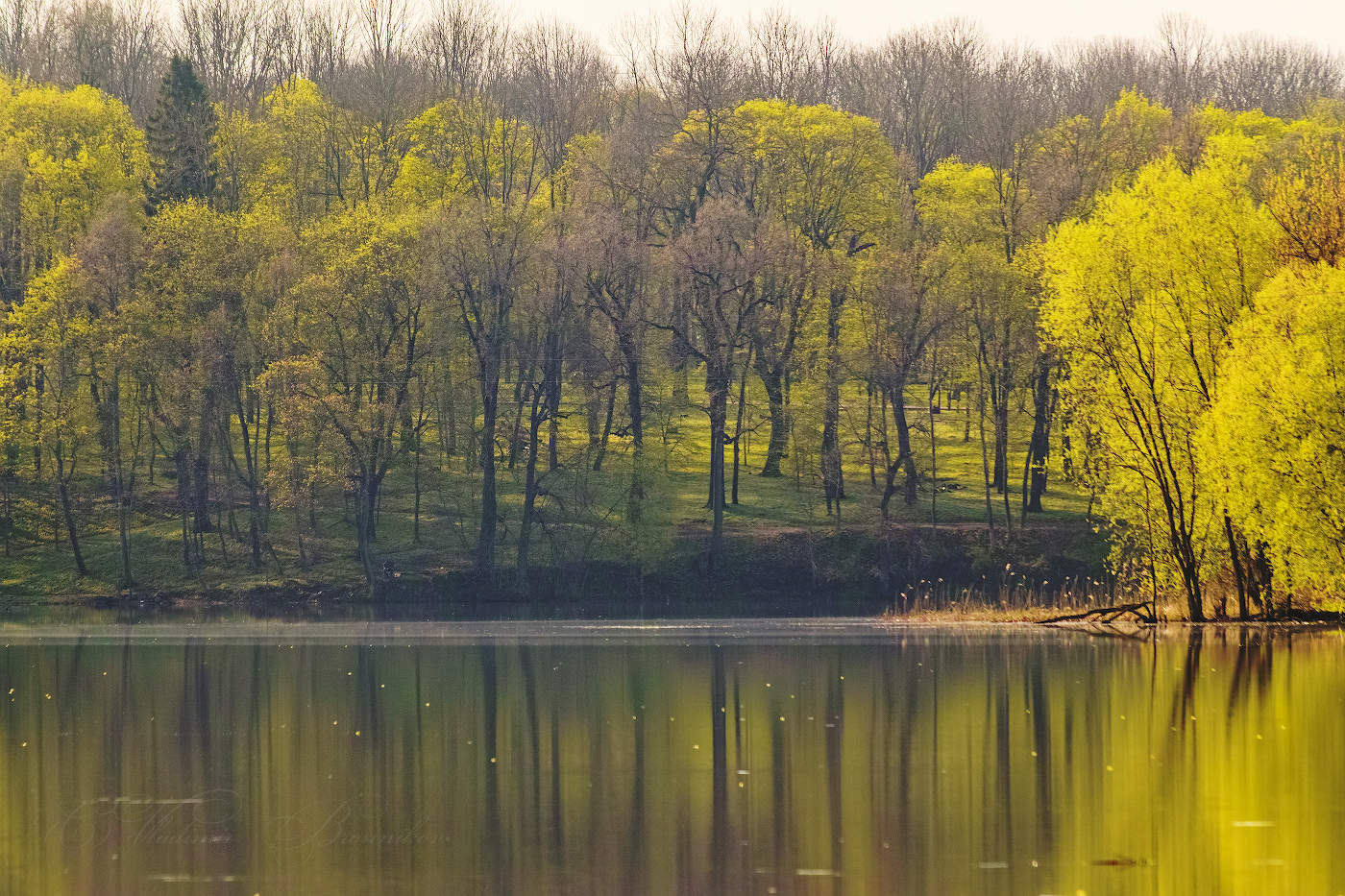 Ранним утром