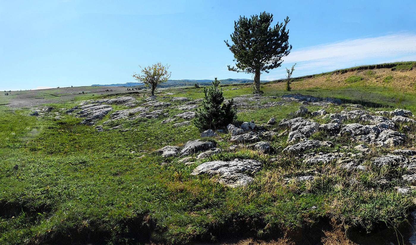 Одиночество среди скал