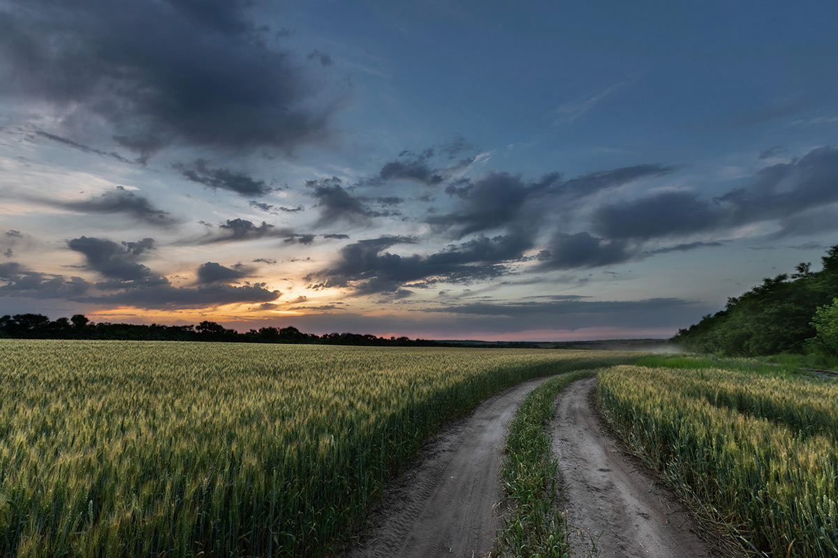 В конце мая