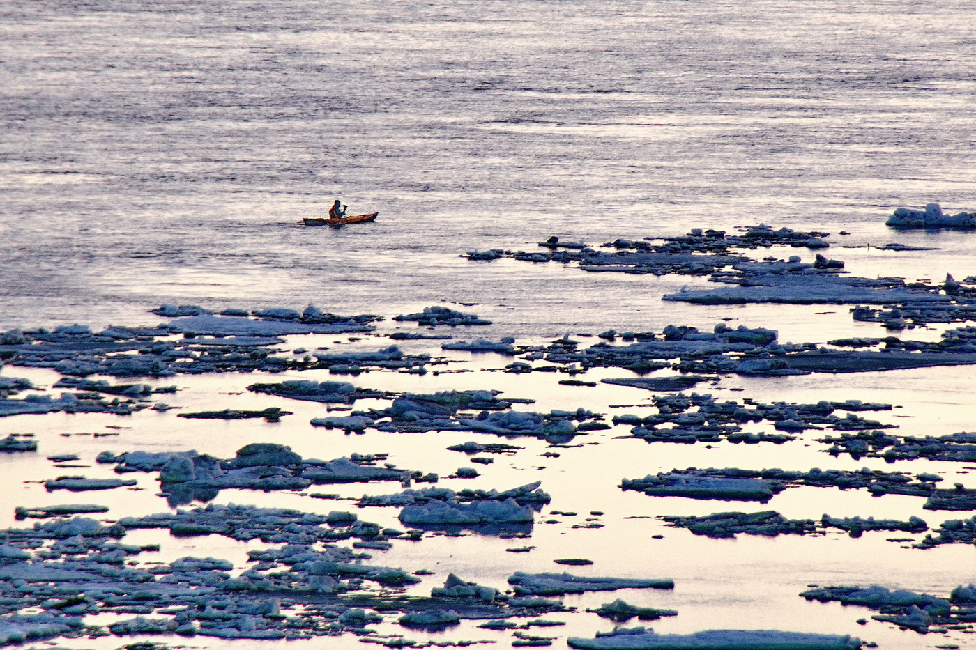 Среди льдин.