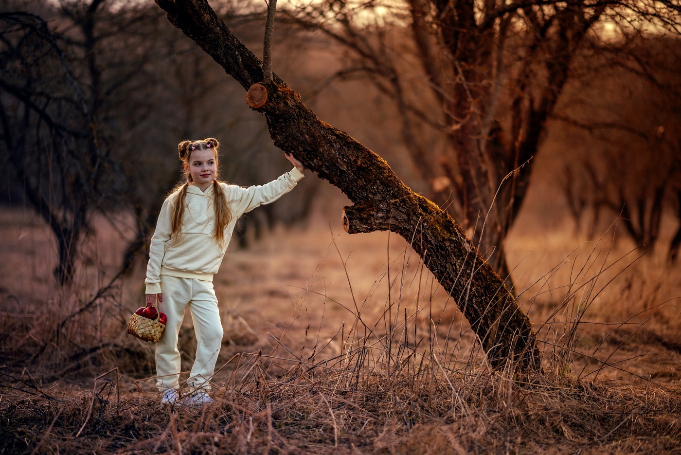 Яблоки авансом