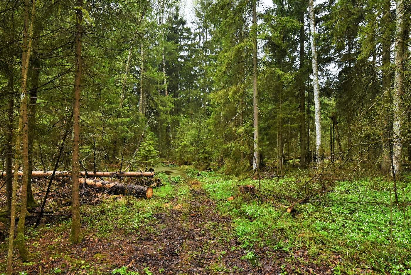 "Русская глубинка. Тишина. Кажется нашли мы, что искали..."