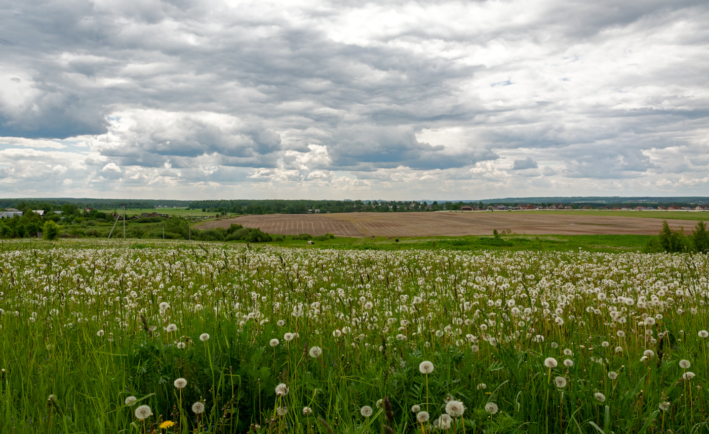 майский пейзаж
