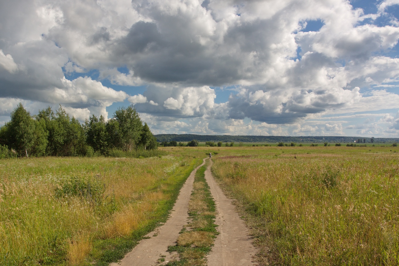 Подмосковные просёлки