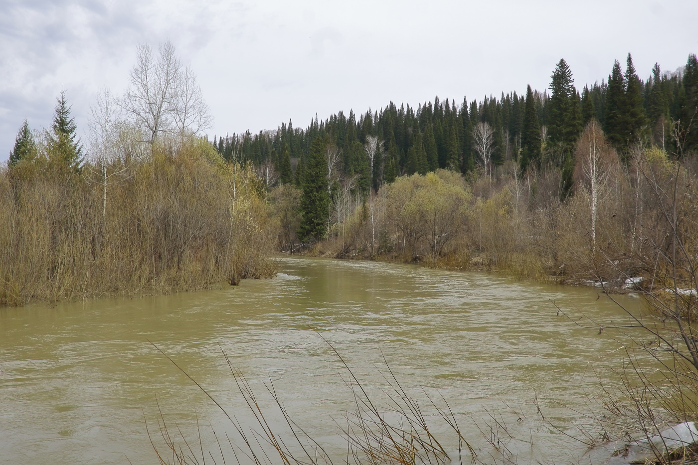 Разлив реки