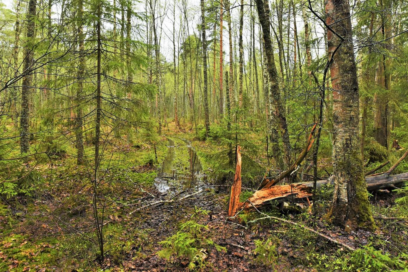 "На окраине - краюхе, во владимирской глуши ..."