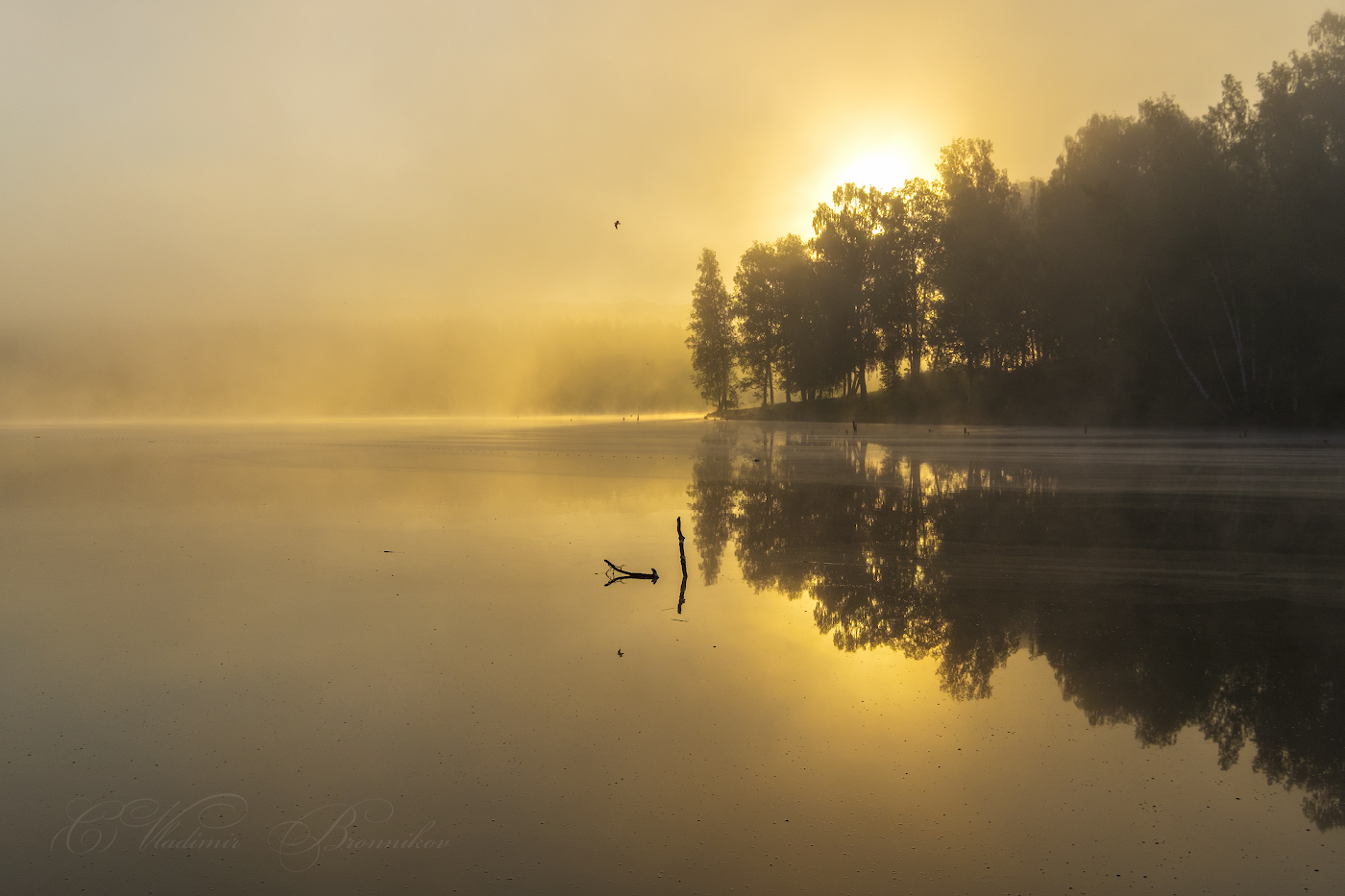 Всходило солнце сквозь туман