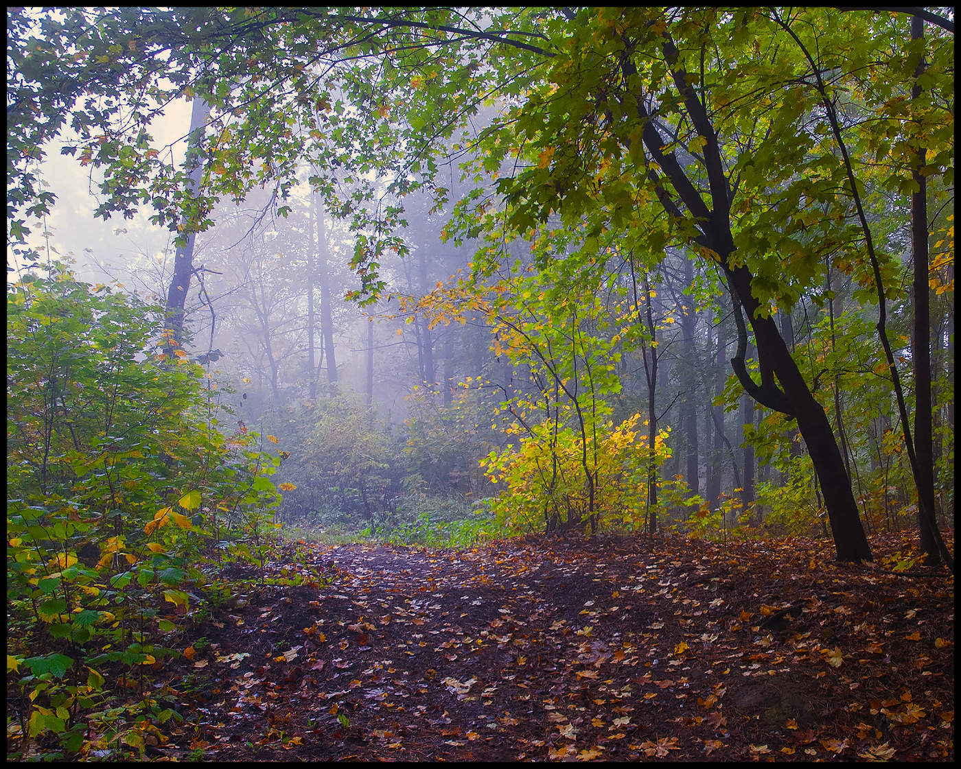 Осенние зарисовки
