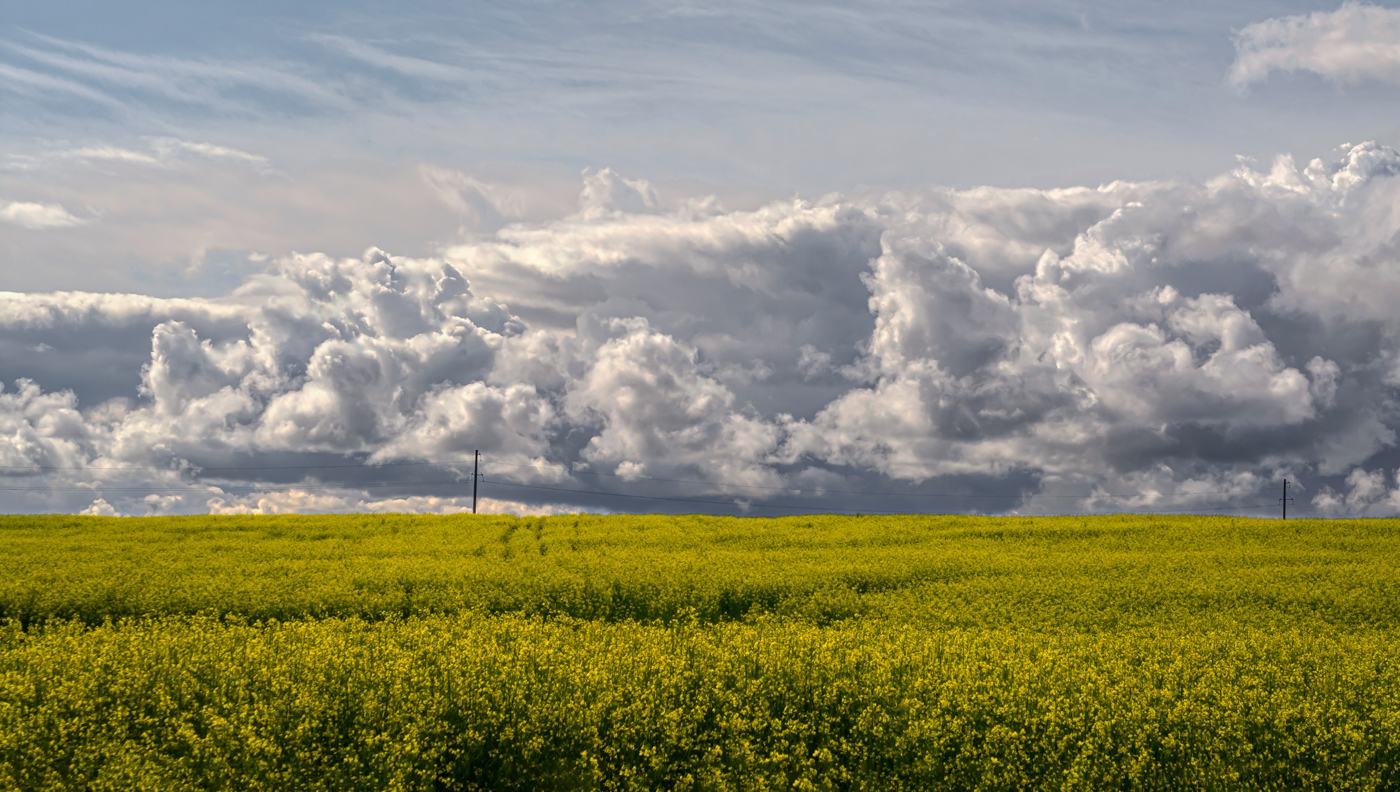 после грозы
