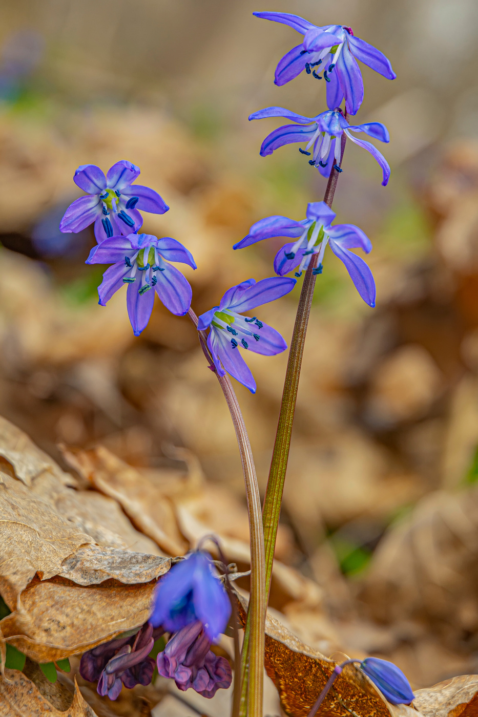 пасмурным утром