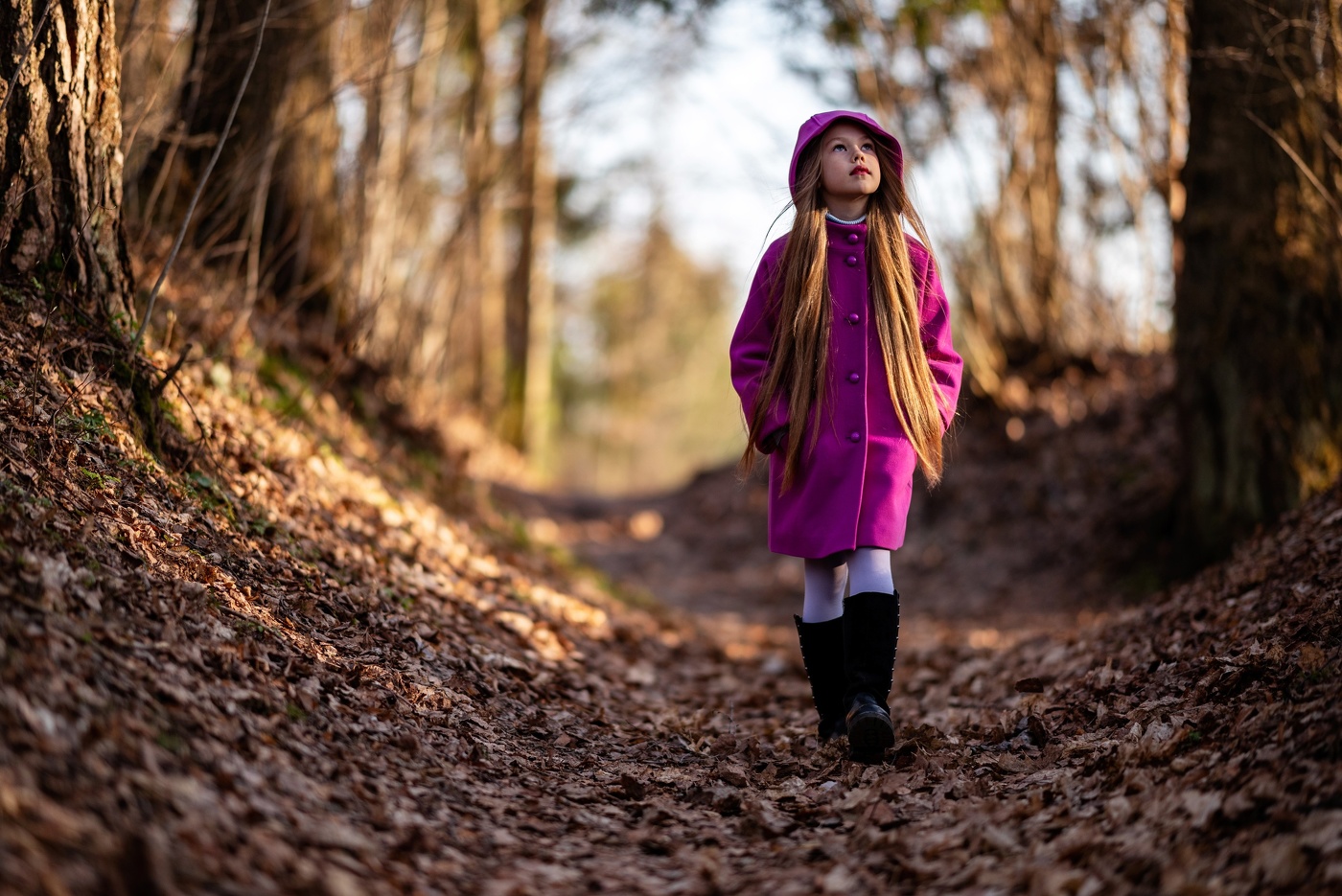 Поля в усадьбе