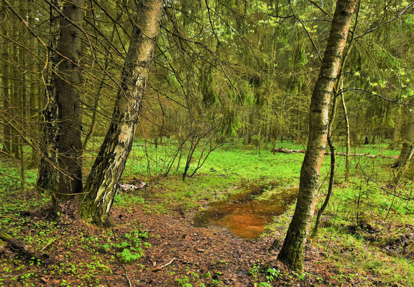 Прощай апрель ...