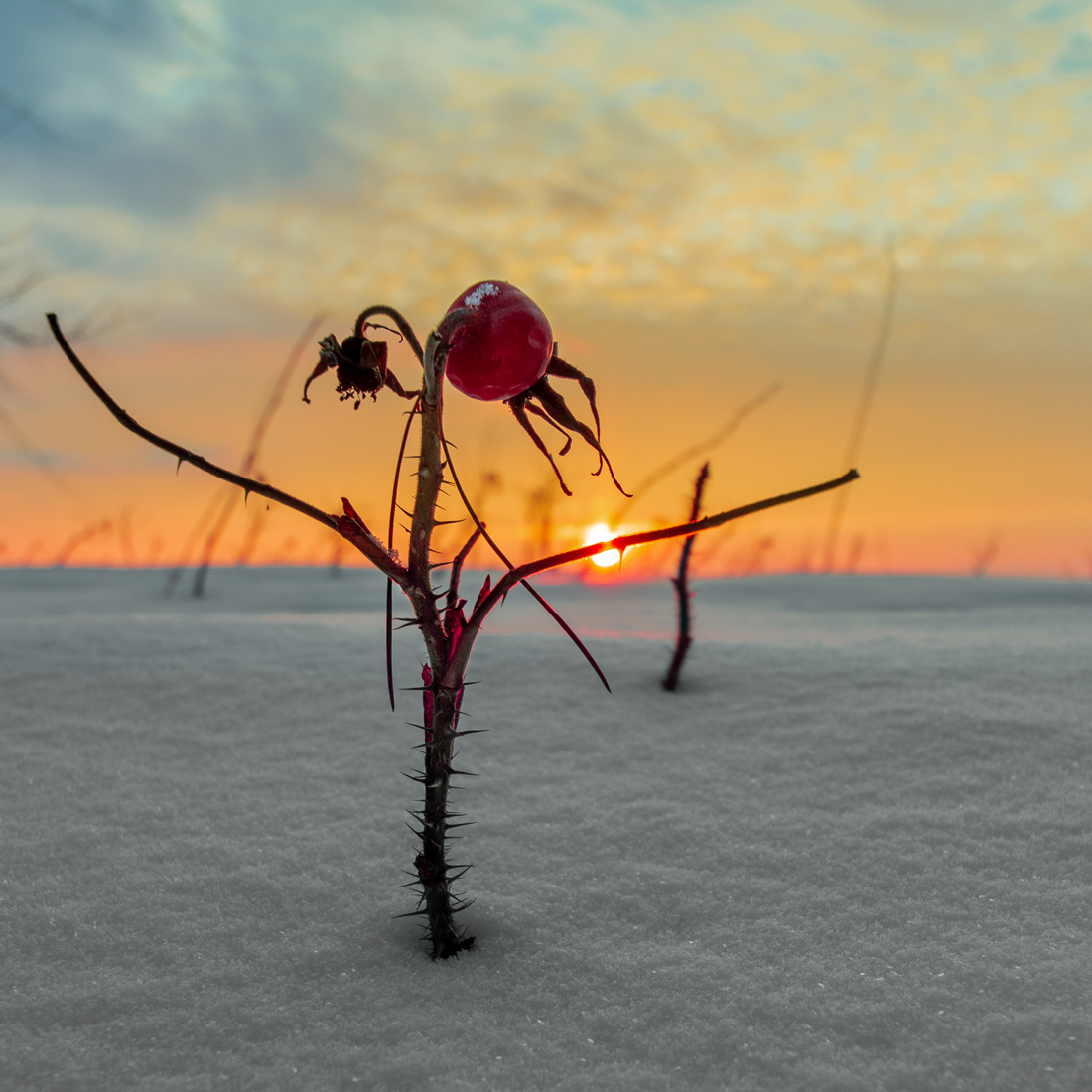 Проводы дня