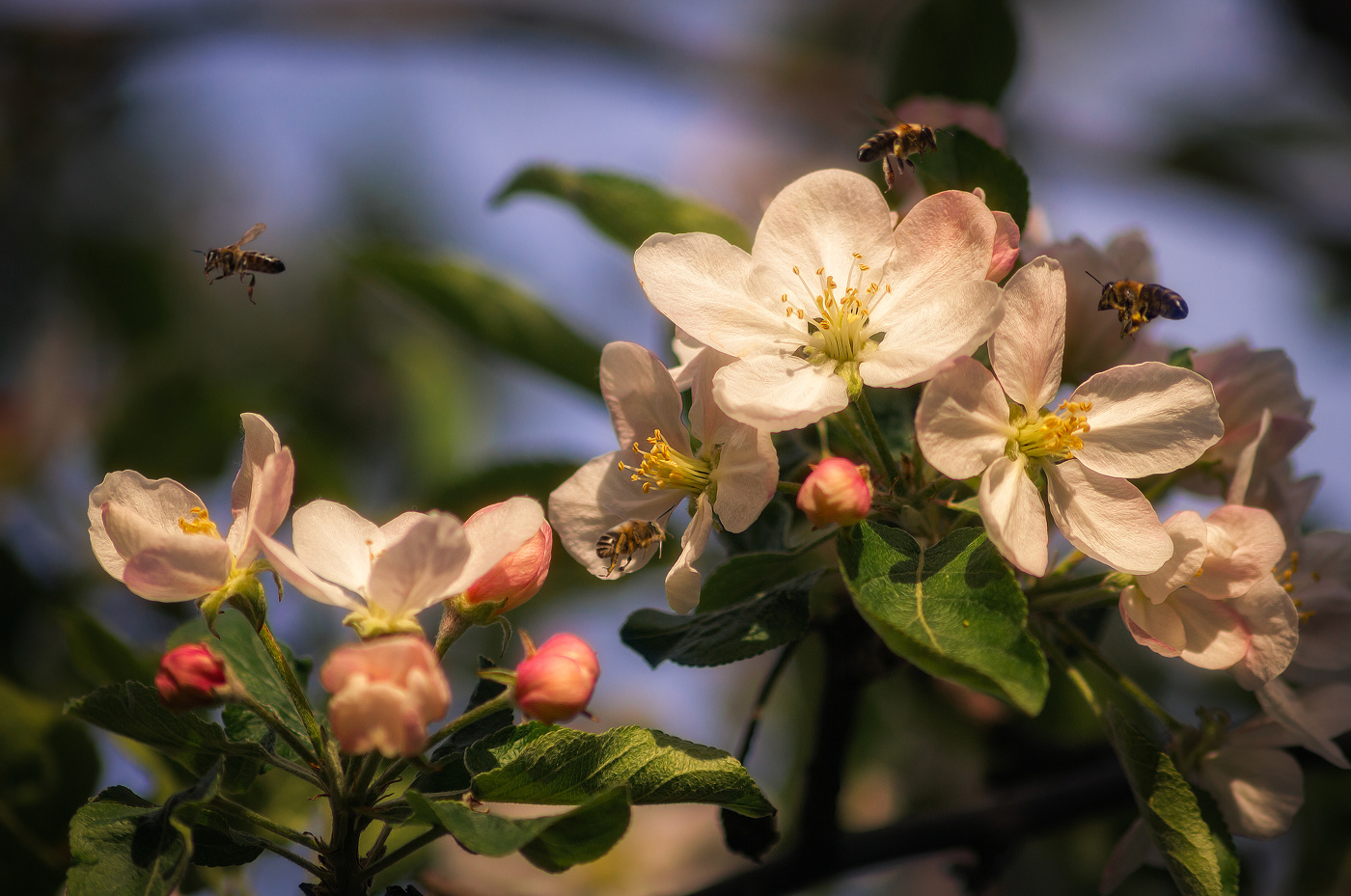 Труженицы...