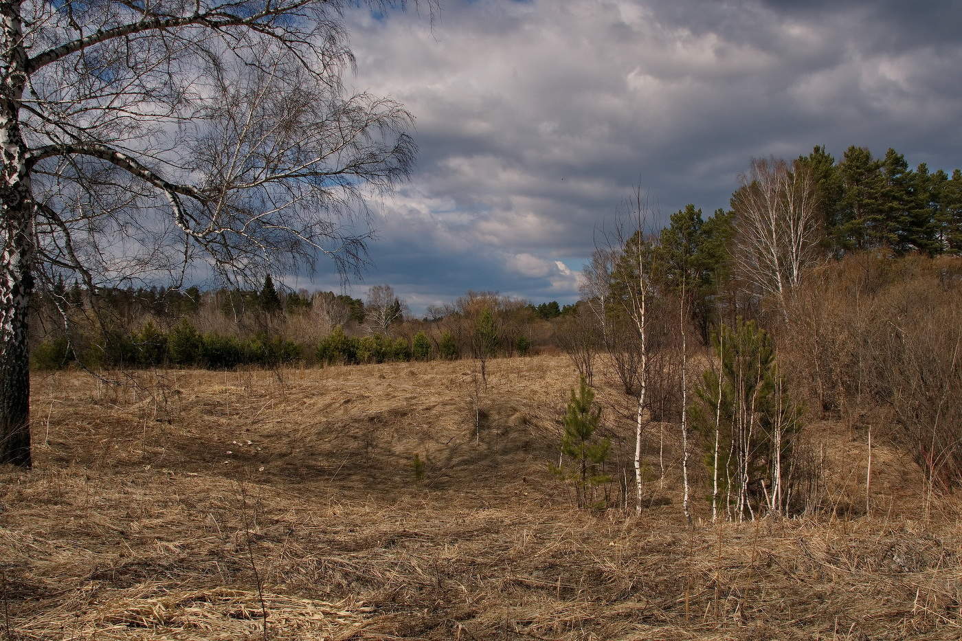 Весенним днём.