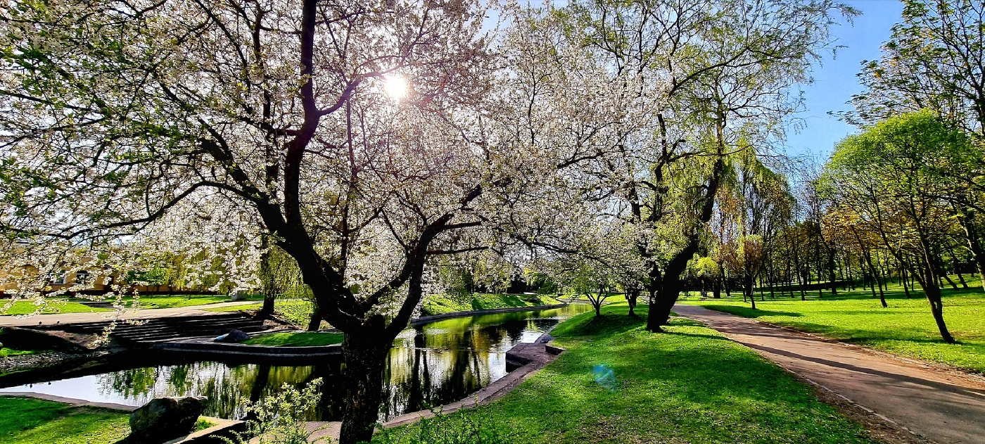 Фрагмент весеннего дня...