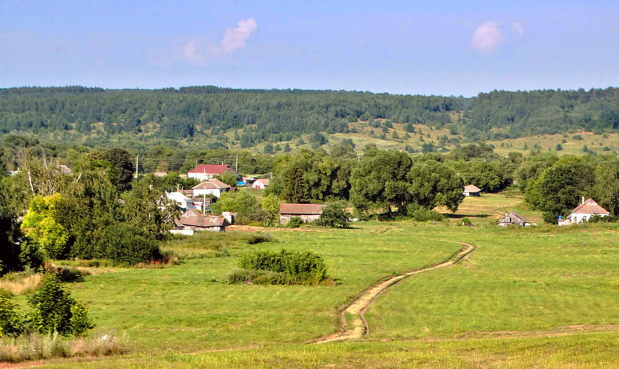 Летняя пора