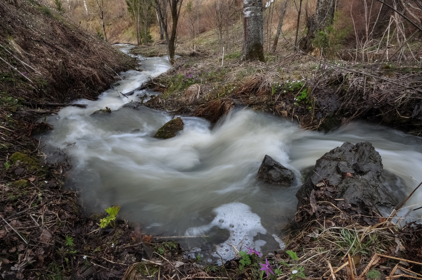 Апрель ручьи