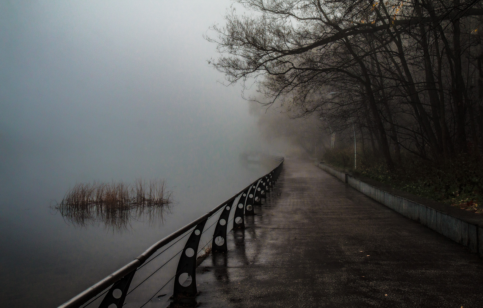 ጭጋግ በውሃ ላይ