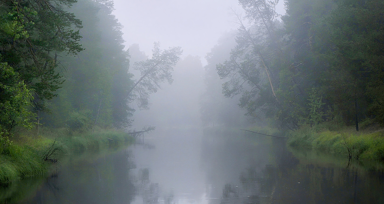 в туманной тишине туманно тихо... и прохладно...