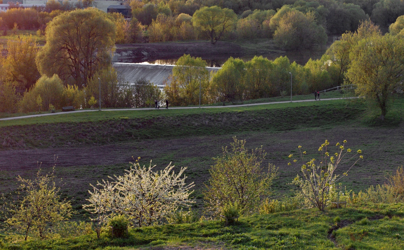 Весенний вечер