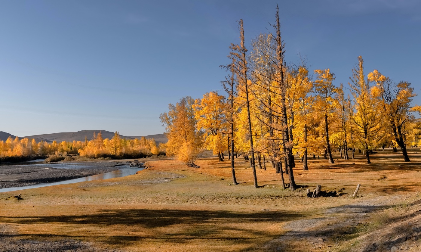 Алтайская осень