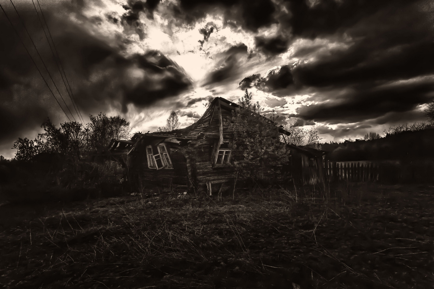 Жизнь вокруг