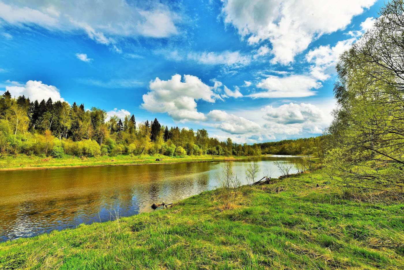 "У тебя сегодня - май ..."