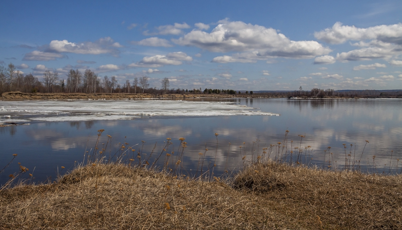 Сибирская Ока в мае