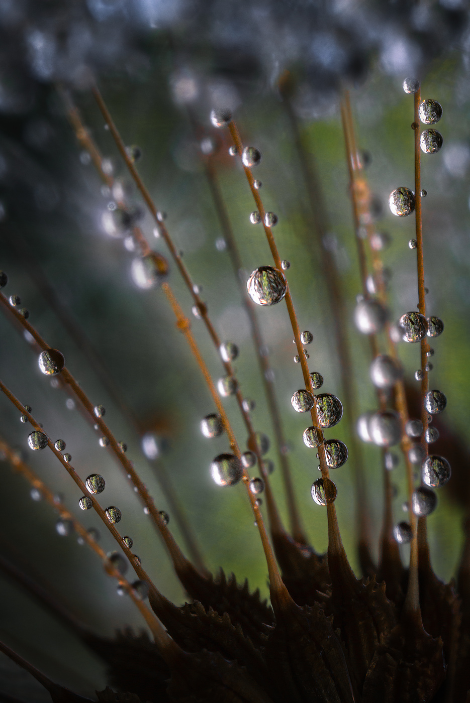 Здесь тепло в облаках, но немного всё-таки сыро...