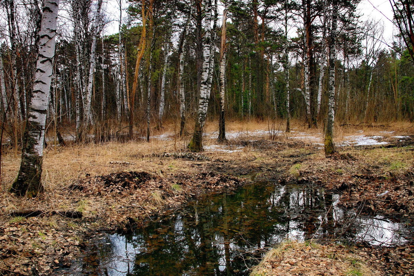 Весенним днём.