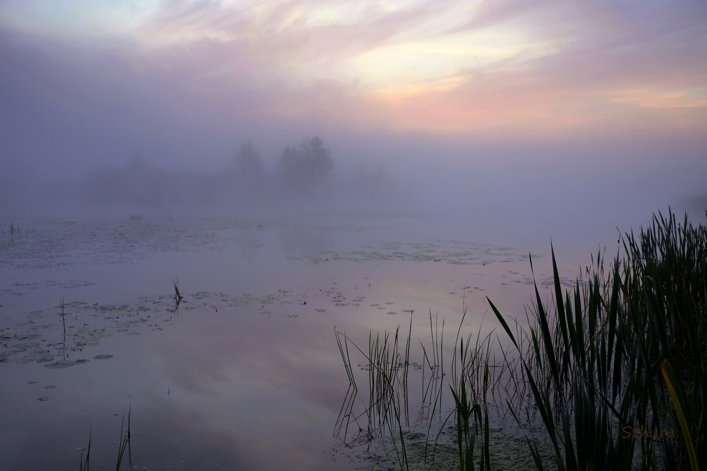 Туман на озере.