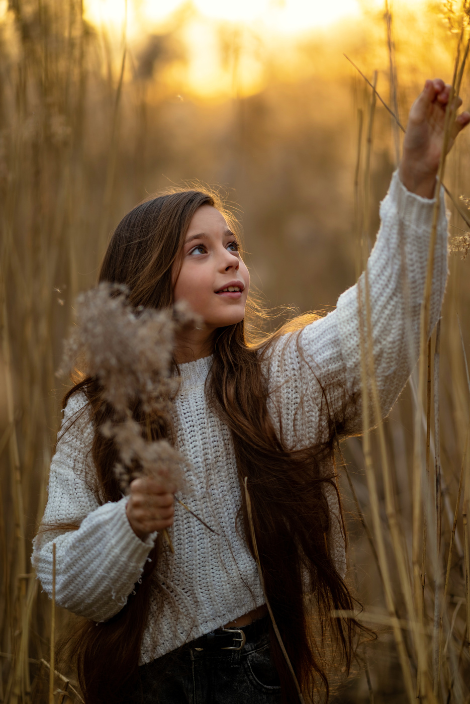 Сбор сухостоя