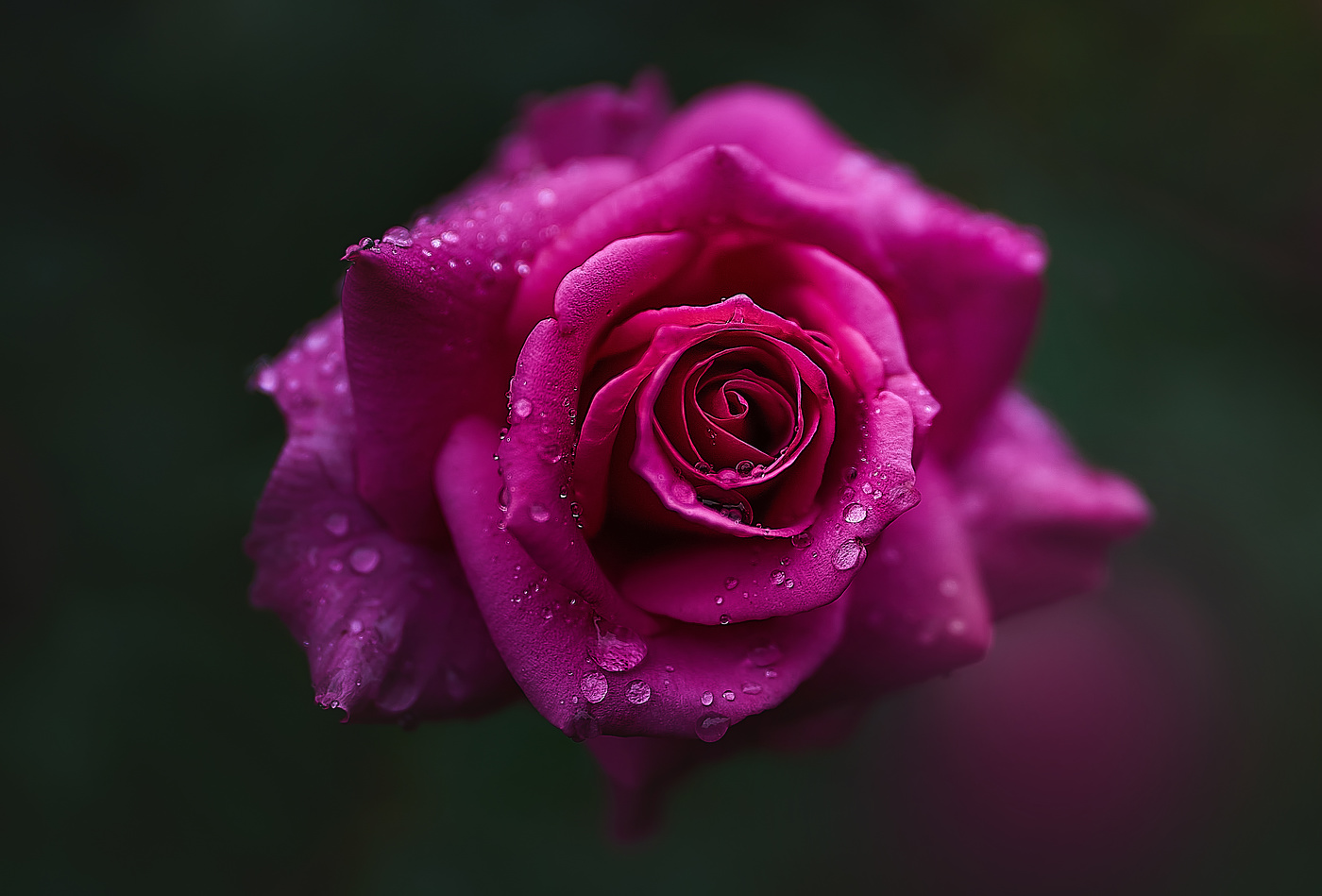 Фотореализм.